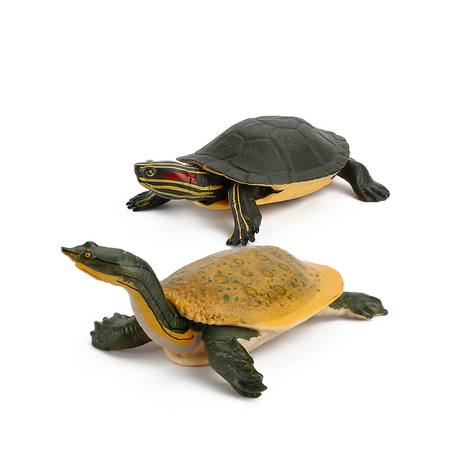 Simulation Chinese Softshell L - Kids Educational Gadget 评论和价格