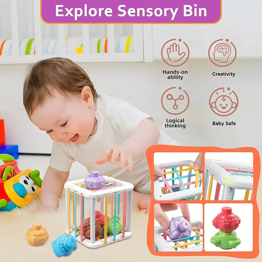 Rainbow Colorful Montessori Sh - Kids Educational Gadget 评论和价格