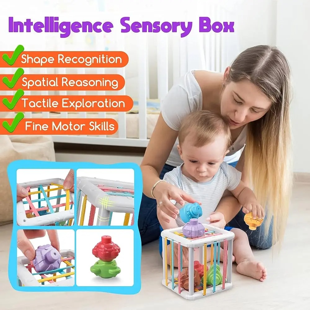 Rainbow Colorful Montessori Sh - Kids Educational Gadget 评论和价格
