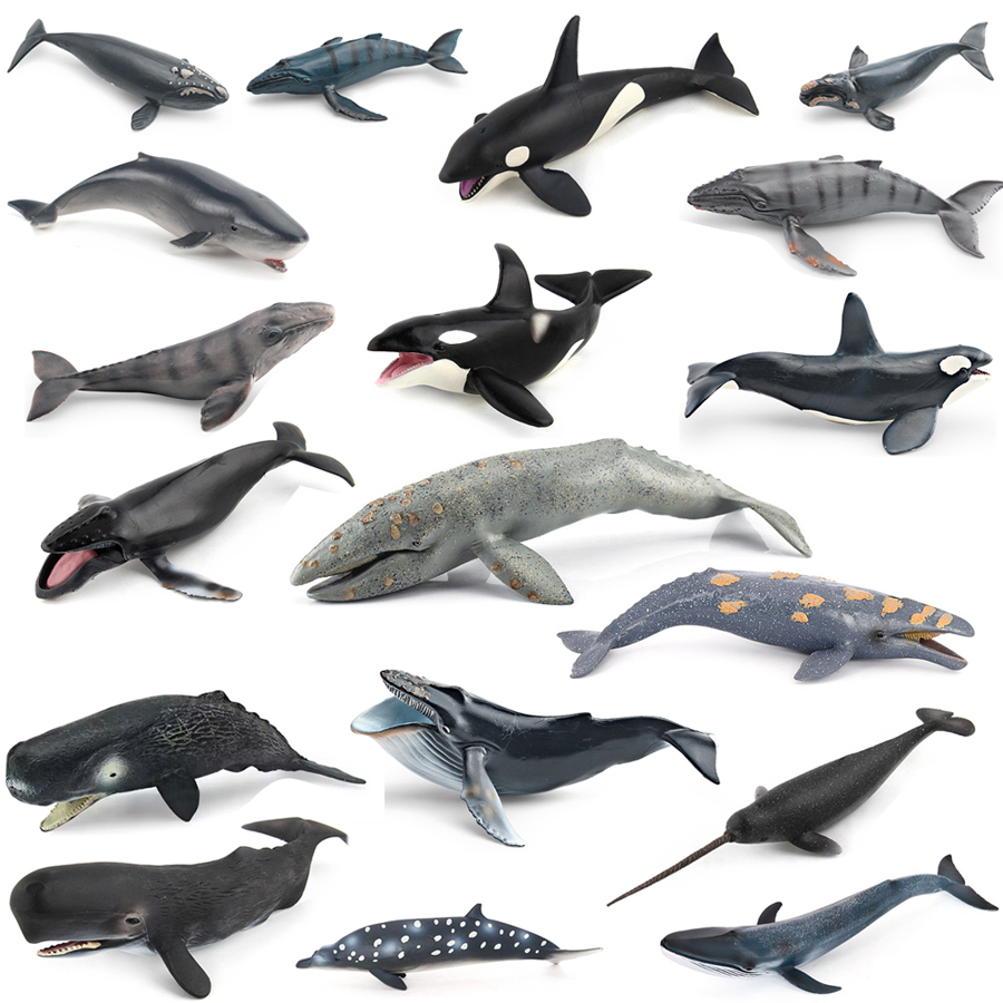 Realistic Humpback Whale Sperm - Kids Educational Gadget 评论和价格