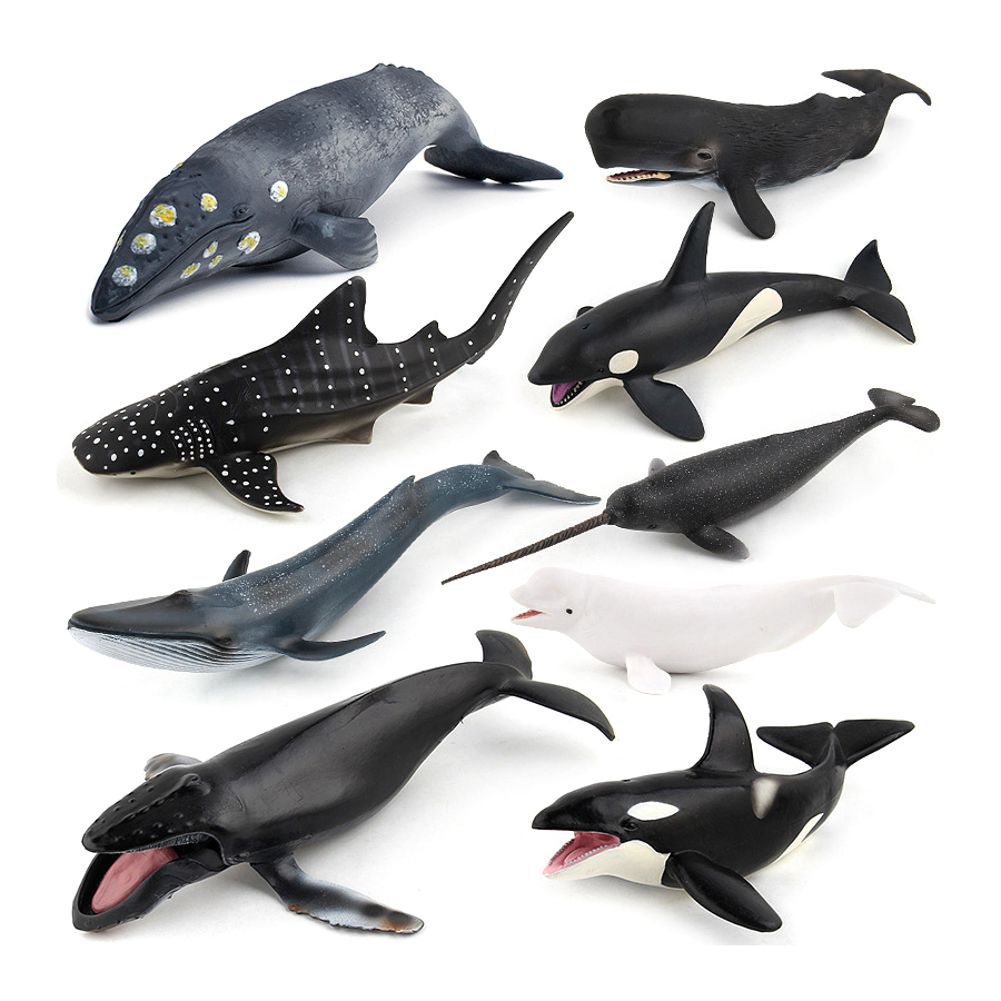 Realistic Humpback Whale Sperm - Kids Educational Gadget 评论和价格