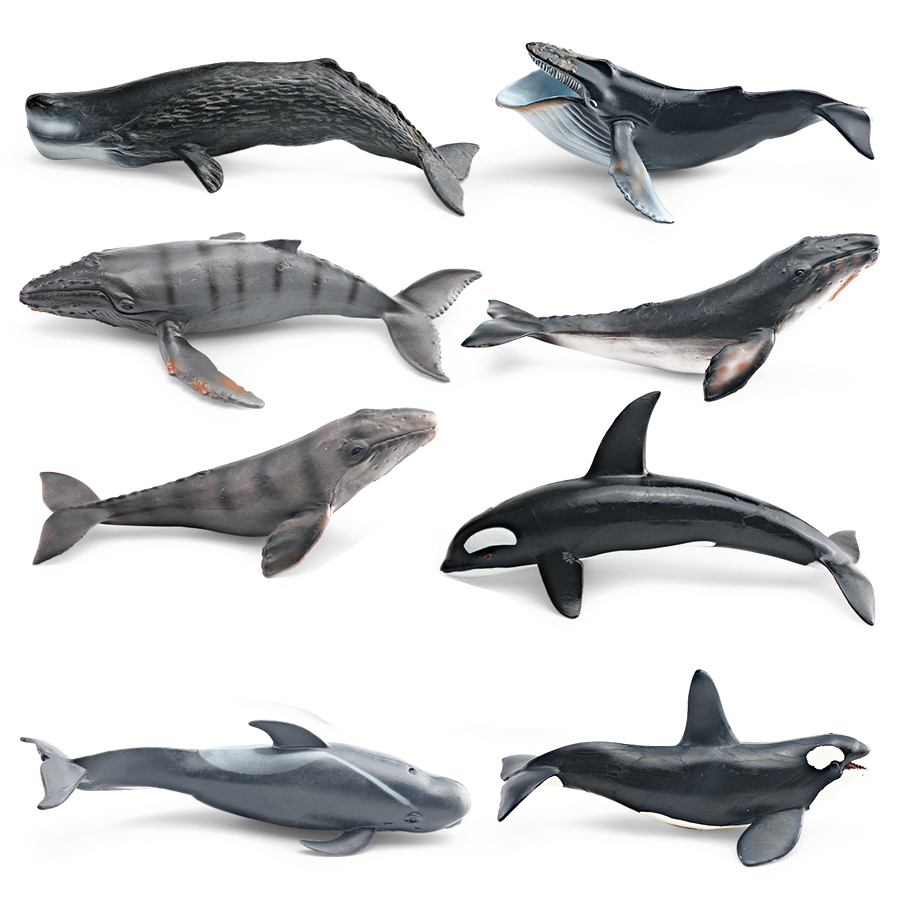 Realistic Humpback Whale Sperm - Kids Educational Gadget 评论和价格