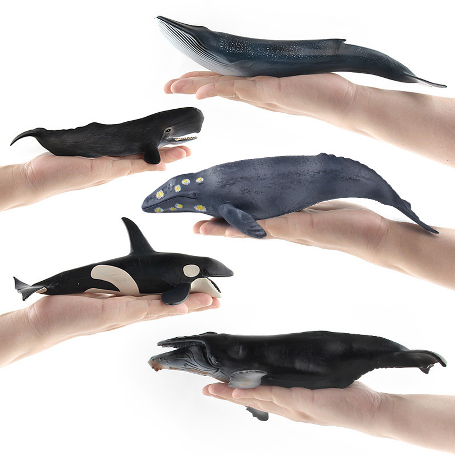 Realistic Humpback Whale Sperm - Kids Educational Gadget 评论和价格