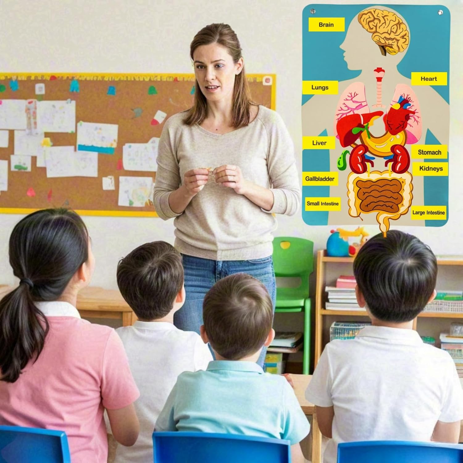 Human Body Parts Felt Board St - Kids Education Activities 评论和价格