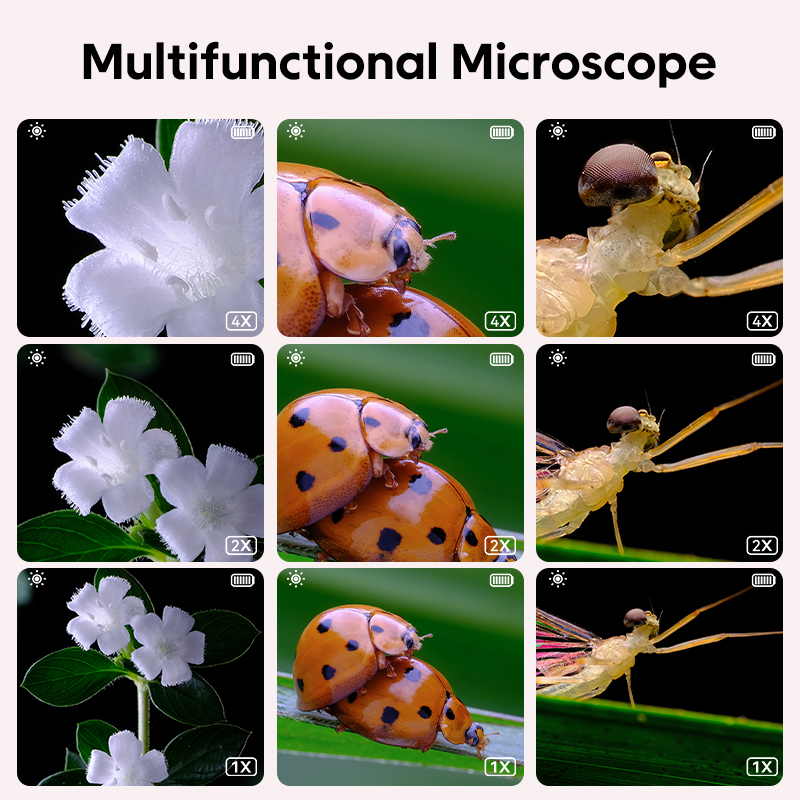 Mini Kids Optical Microscope W - Kids Education Video 评论和价格