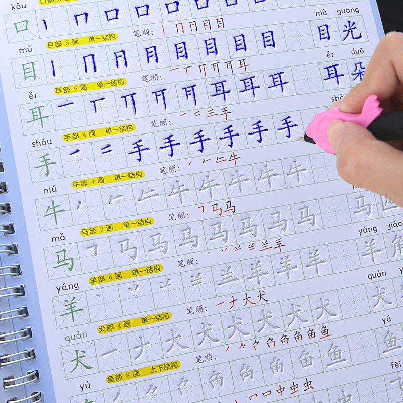 The Copybook Kids Book Learnin - Kids Education And You 评论和价格
